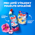 WC gel Power Aktiv Flower Bref