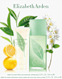 Geschenkset Green Tea Elizabeth Arden