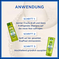 Shampoo Kraft & Glanz GARNIER FRUCTIS