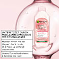 Mizellenwasser Rosenwasser All in 1 Garnier Skin Active