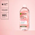 Mizellenwasser Rosenwasser All in 1 Garnier Skin Active