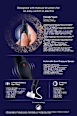 Elektronische Zahnbürste Set uO Series 2 Night Black Oral-B