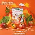 Kindersnack Smoothie-Chips Multifrucht mit Karotte ab 3 Jahren Freche Freunde
