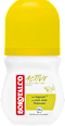 Active deo roll-on - Citrus Borotalco