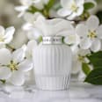 Nasma White Blossom edp ASSALA