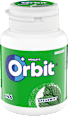 Kaugummi Spearmint Orbit
