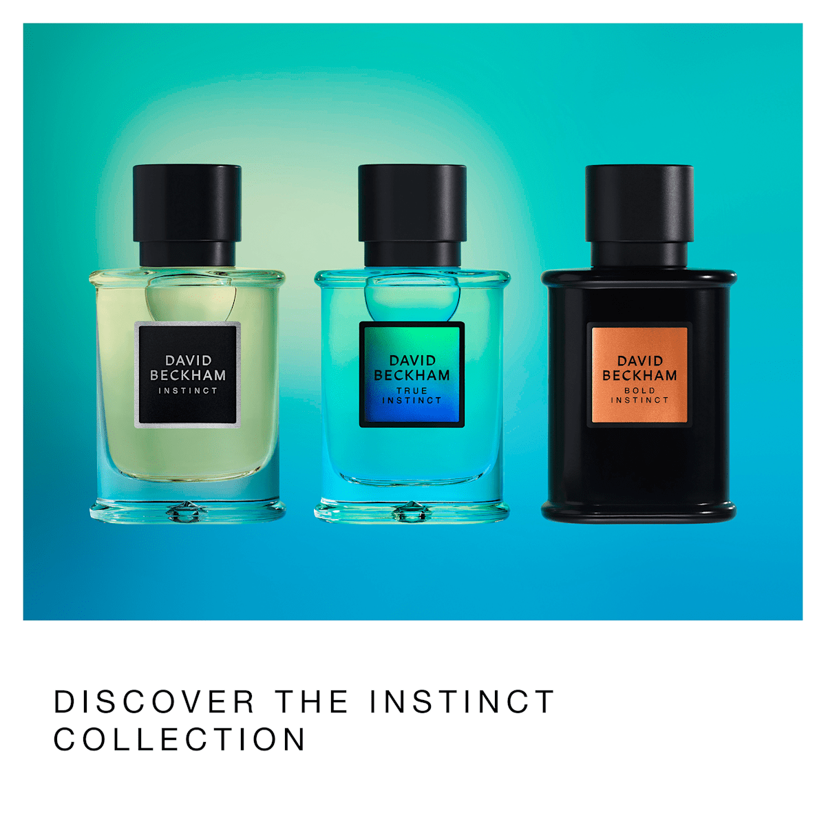 DAVID BECKHAM Apă de parfum True Instinct, 50 ml | dm.ro