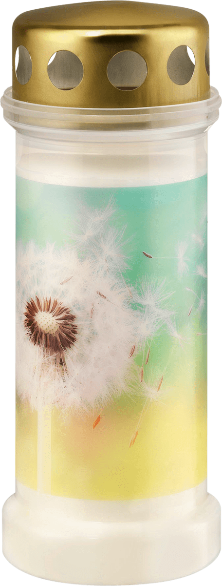 Profissimo Grabkerze Pusteblume, 1 St dauerhaft günstig online kaufen