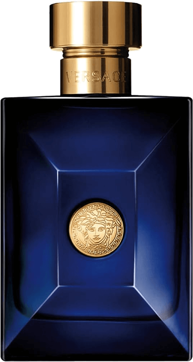 Versace Dylan Blue Pour Homme edt, 100 ml dm Bosna i Hercegovina