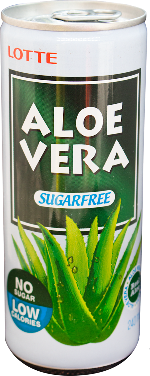 aloe vera mini plant Buy Aloe juvenna