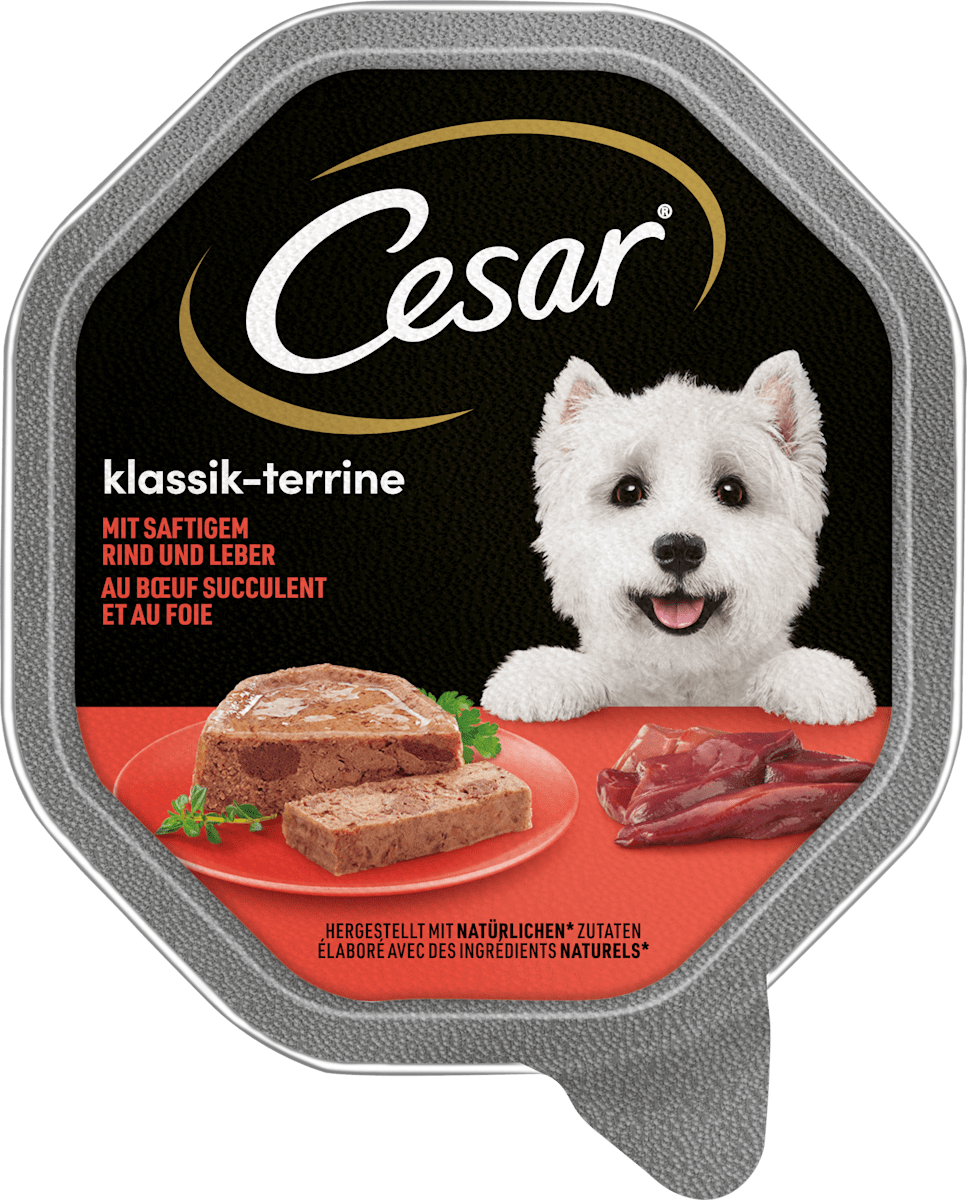 Cesar Nassfutter Hund Klassik-Terrine mit saftigem Rind & Leber, 150 g ...
