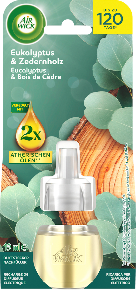 AIR WICK Lufterfrischer Duftstecker Eukalyptus & Zedernholz Nachfüllpack, 19 ml dauerhaft günstig online kaufen