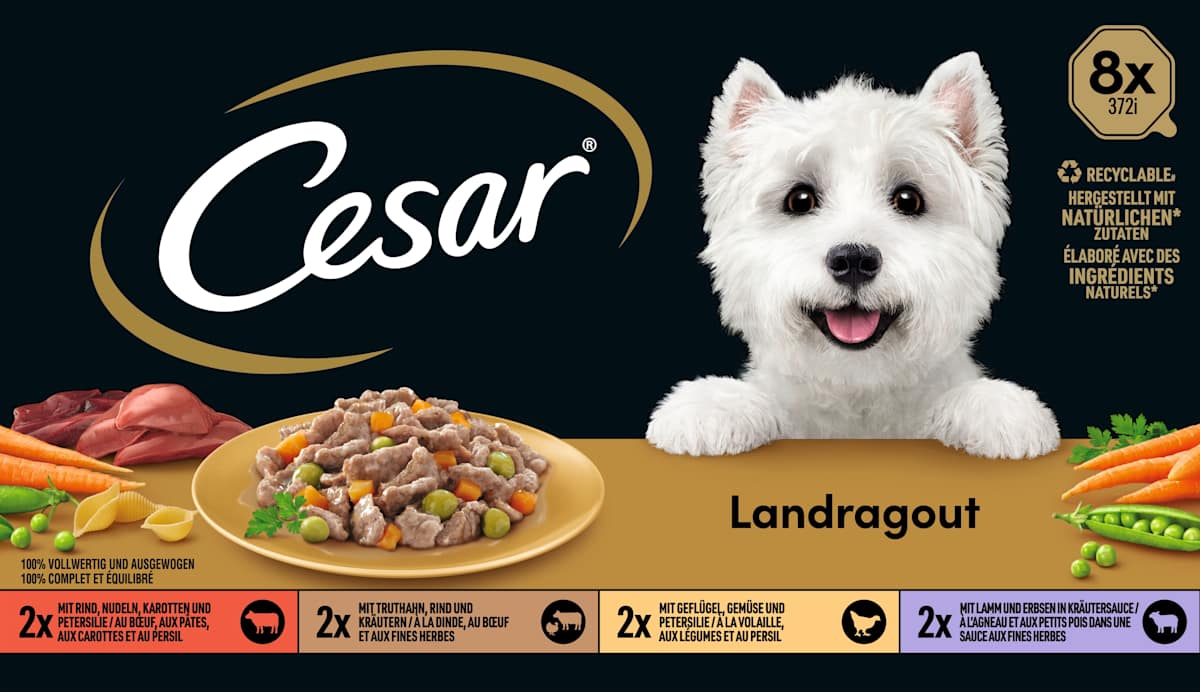 Cesar Nassfutter Hund Landkche Vielfalt in Sauce, Multipack (8x150 g), 1,2  kg dauerhaft gnstig online kaufen | dm.de