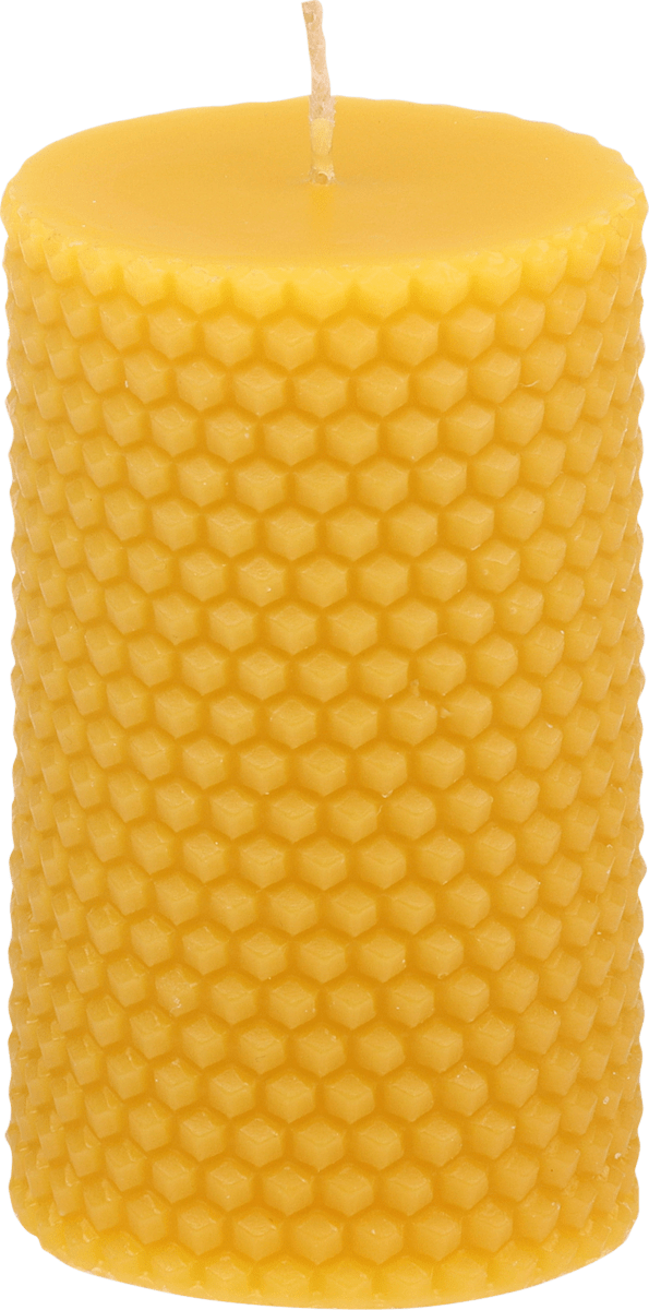 Steinhart KERZEN Kerze aus 100% Bienenwachs Cellula 100/58, 1 St dauerhaft günstig online kaufen