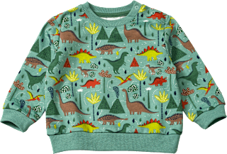 Sweatshirt mit Dino-Muster, grün, Gr. 86, 1 St