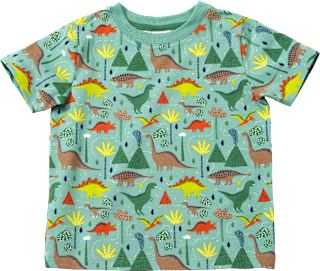 T-Shirt Pro Climate mit Dino-Muster, grün, Gr. 104, 1 St