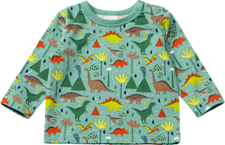 Langarmshirt Pro Climate mit Dino-Muster, grün, Gr. 74, 1 St