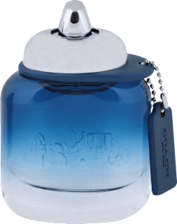 Pánska toaletná voda Blue COACH