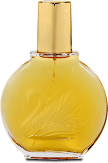Gloria Vanderbilt edt Vanderbilt