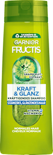 Shampoo Kraft & Glanz GARNIER FRUCTIS