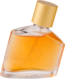 Man's Best edt  Bruno Banani