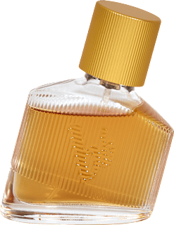 Man's Best edt bruno banani