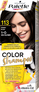 Szampon koloryzujący 113 Czerń Palette COLOR Shampoo