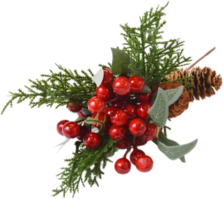 Pik borovine sa češerima i bobicama – crveni Ira Commerce