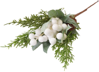 Pik borovina sa češerima i bobicama – bijeli Ira Commerce