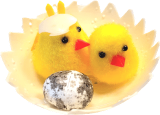 Ukras – pilići  Dekoracija i uređenje