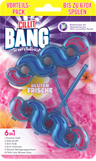 WC Stein 6in1 Duft & Farbspüler Blüten Frische CILLIT BANG