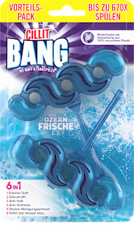 WC Stein 6in1 Duft & Farbspüler Ozean Frische CILLIT BANG