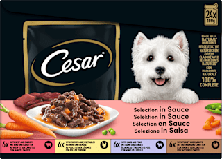 Nassfutter Hund Selection in Sauce, Multipack (24x100 g) Cesar