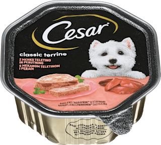 Hrana za odrasle pse classic terrine, teletina in perutnina Cesar