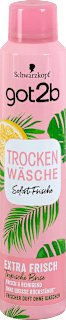 Trockenwäsche Trockenshampoo Sofort-Frische Extra Frisch got2b