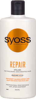 Repair Spülung syoss