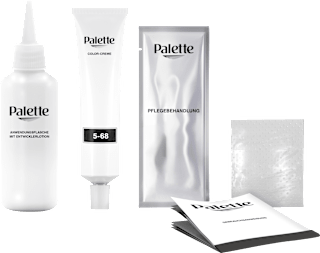 Haarfarbe 5-68/650 Kastanie Palette Intensive Color Creme