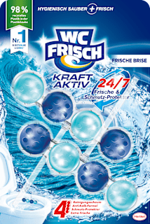 WC-Stein Kraft Aktiv Frische Brise WC-Frisch