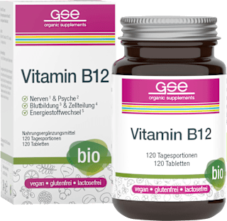 Vitamin B12 Tabletten GSE