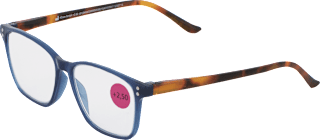 Očala za branje, dioptrija: +2,50, modra s pisanimi ročaji visiomax