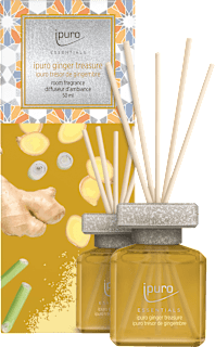 Essentials Raumduft Ginger Treasure ipuro
