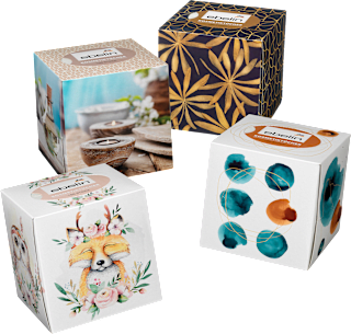 Box fazzolettini cosmetici assort. ebelin