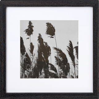 Bilderrahmen Solo 30x30 cm, schwarz Paradies