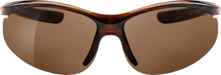 Sonnenbrille Erwachsene braunes Gestell, braun getönte schräge Gläser, Havana Optik SUNDANCE