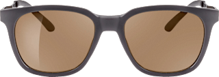 Sonnenbrille Herren dunkelgrau-braun SUNDANCE