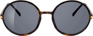 Sonnenbrille braun mit goldenen Bügeln SUNDANCE