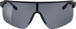 Sonnenbrille Herren schwarz dunkle Gläser SUNDANCE