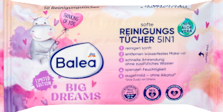 Big Dreams maramice za skidanje šminke 5in1 – putno pakovanje, 10 kom.