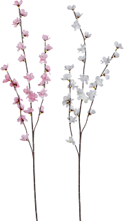 Apfelblütenzweig, rosa/weiß Dekorieren & Einrichten