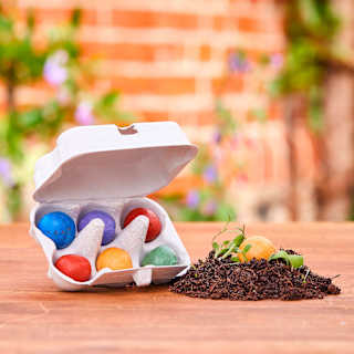 Blumenmurmeln für Ostern Die Stadtgärtner